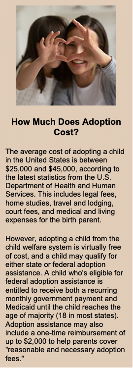 adoption cost sidebar